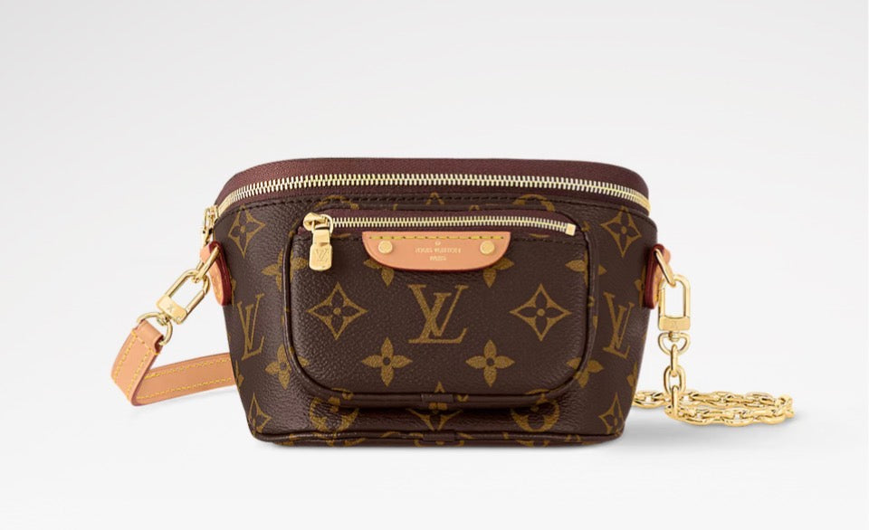 Louis Vuitton Bumbag